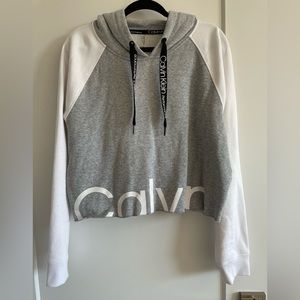 Cropped Calvin Klein Color-Block Hoodie